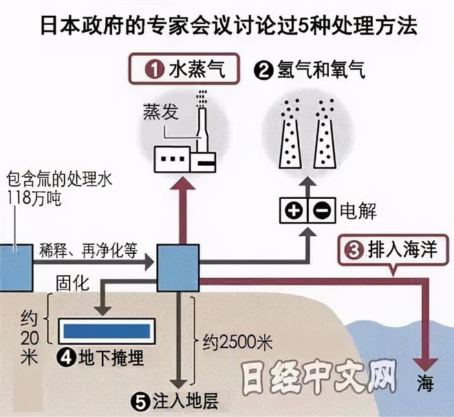 污水番茄核污染处理方法_日本计划将核污水排入大海_核污水污染番茄